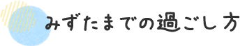 みずたまでの過ごし方