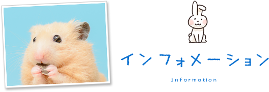インフォメーション