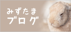 みずたまブログ