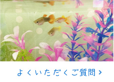 よくいただくご質問